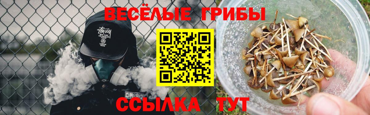 Псилоцибиновые грибы прущие грибы Арзамас
